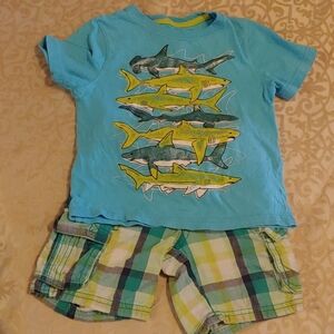 Jumping Bean/Cherokee Shark T-Shirt with Matching Plaid Shorts Size 3T